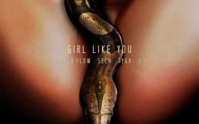 Dimelo Flow, Sech, Tyga, J.I – Girl Like You