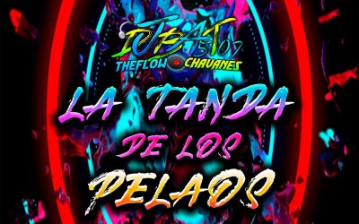 La Tanda DeLos Pelaos By @DjBat507 TheFlowChavaNes